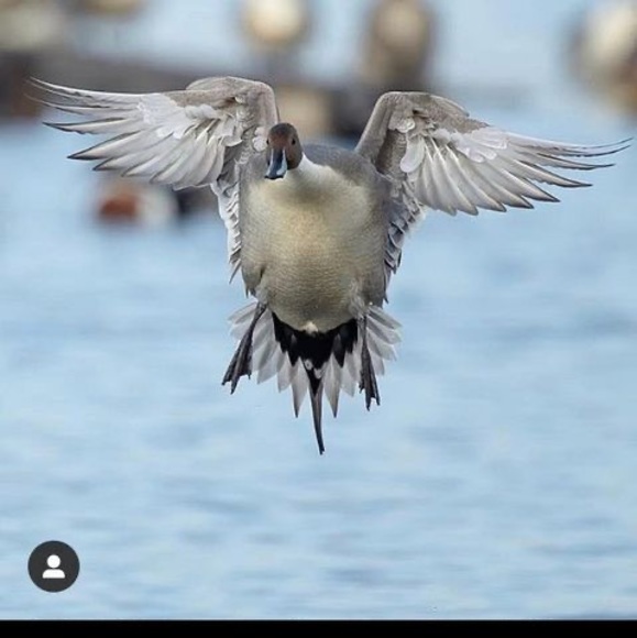 Meet your Posher, Andrew - Picture 1 of 1